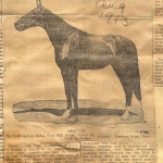 A Horse “Asquith” is focal point of publicity