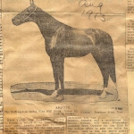 A Horse “Asquith” is focal point of publicity A Horse “Asquith” is focal point of publicity